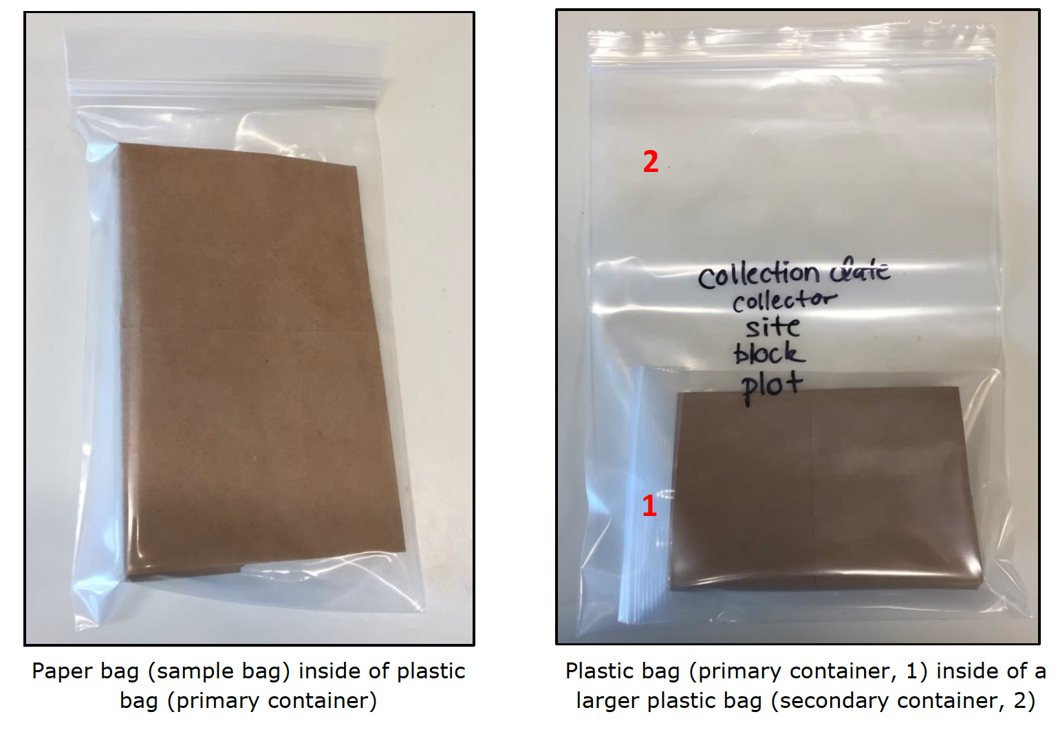 Paper bag (sample bag) inside of plastic bag (primary container) Plastic bag (primary container, 1) inside of a larger plastic bag (secondary container, 2)