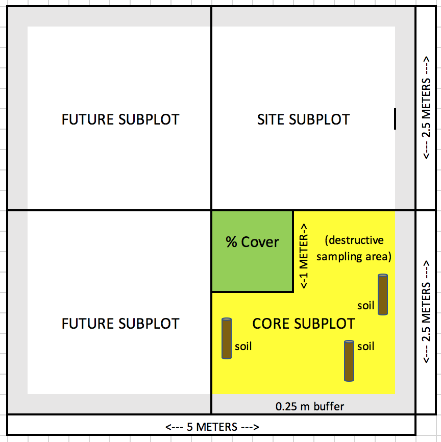 Schematic of where to sample soils: in each plot, take 2-3 samples from the destructive area (marked in yellow) of the "Core" subplot.
